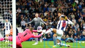 Struggling West Brom frustrated by Cardiff