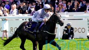 Dramatised aiming for another winning performance at York