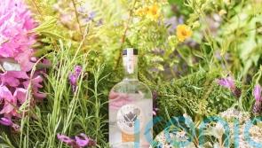 Superb summer gins to cause a stir