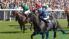 Jimmy Quinn rates The Platinum Queen’s chance of Nunthorpe gold