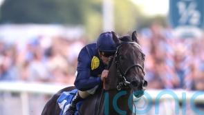 James Tate and Royal Aclaim bidding for Nunthorpe ‘home’ win