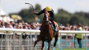 Stradivarius misses Lonsdale Cup run