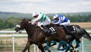 Balding anticipating York battle for Lennox victor Sandrine