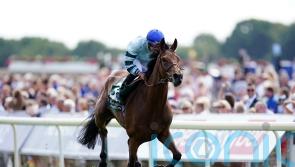 Quickthorn looks a star in absolutely routing Lonsdale Cup rivals