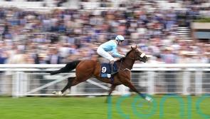 The Platinum Queen does Middleham Park team proud