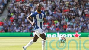 We love him – Brighton boss Graham Potter excited by Moises Caicedo potential