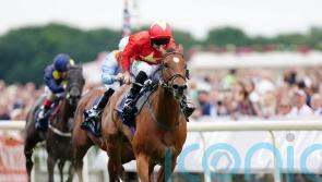 Highfield Princess is truly a dream come true for Quinn