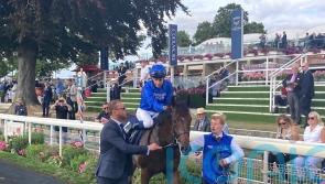 Desert Order makes no mistake in Convivial Maiden