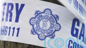 Man in his 20s charged over serious assault in Co Wicklow