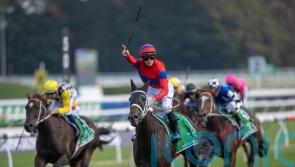 Dettori eager to see what Verry Elleegant can do