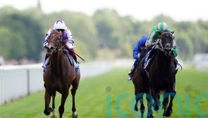 Dettori dazzles as Kinross claims York glory