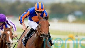 Aesop’s Fables impresses in Futurity win