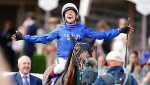 Dettori at his brilliant best as Trawlerman wins Ebor
