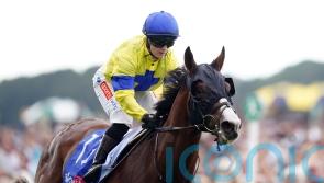 Soulcombe storms to Melrose victory