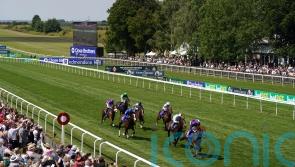 July Stakes runner-up Show Respect sold to Hong Kong