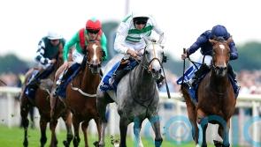 Prescott would like Haggas to ‘stick to his guns’ with Baaeed