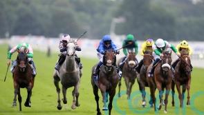 Bin Suroor looking to Newmarket or Paris with Real World
