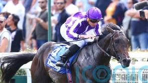 Blackbeard sees off Persian Force in Prix Morny