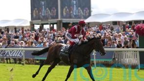 Mishriff team mulling international options after York defeat