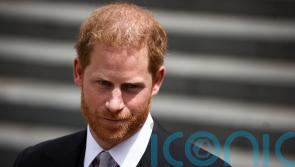 Harry meets Rwandan president on wildlife conservation trip