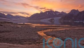 Rare earths processor buys rights to mine in Greenland