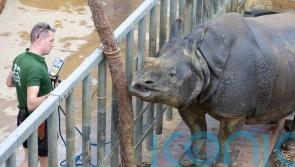 Staff at UK’s largest zoo measure 10,000 animals in their annual weigh-in