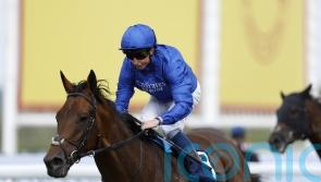New London on course and odds-on for St Leger glory