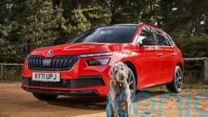 Brits spend £4,000 a year on their dogs but many forget to keep them secure in the car