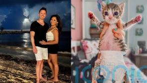 VIDEO: This paralysed cat wears a nappy and is the feisty boss of her house