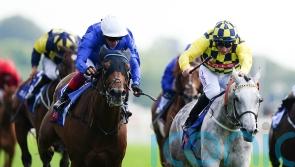 Melbourne Cup features in number of exciting choices for Alfred Boucher