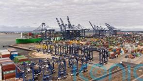Christmas shoppers face reduced choice if port strike escalates, warn experts