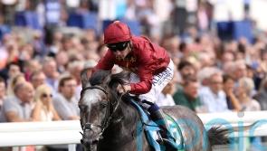Roaring Lion records first winner as a sire in Ireland