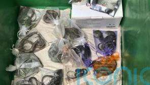 California man pleads guilty to smuggling 1,700 animals