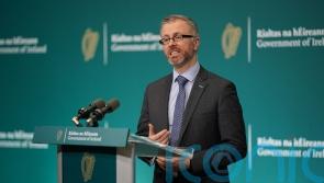 Coalition saw Troy controversy as ‘significant issue’ – Green Party minister