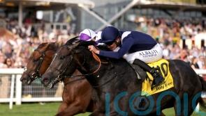 Seven-furlong options now open to Wings Of War