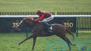 Stormy Antarctic aiming for Goodwood celebration