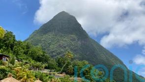 Why it’s time to re-energise with flower power on botanic beauty St Lucia