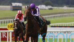 ‘Sore’ Little Big Bear set to miss National Stakes