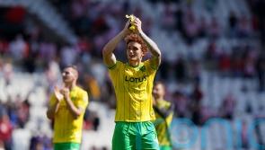 Josh Sargent and Norwich pile more misery on Sunderland