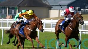 Treasure Trove hits the jackpot at the Curragh