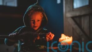 Government ‘glossing over’ prospect of blackouts this winter, expert claims
