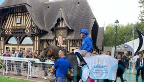 Botanik foils Stay Foolish in Deauville highlight