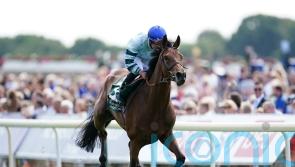 Quickthorn ‘unlikely’ for Irish St Leger challenge