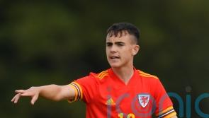Fulham midfielder Luke Harris on verge of surprise Wales call-up