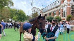Group One glory the ultimate aim for Tempus