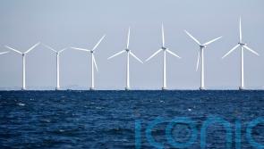 Denmark and Germany back Baltic wind hub to offset Russian gas