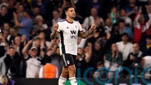 Aleksandar Mitrovic and Fulham end Brighton’s unbeaten start