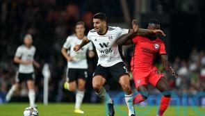Aleksandar Mitrovic was unbelievable – Marco Silva hails star striker