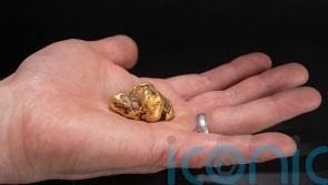 Largest gold nugget found in Scotland in over 400 years goes on display