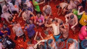 Spain’s Tomatina battle returns after pandemic hiatus
